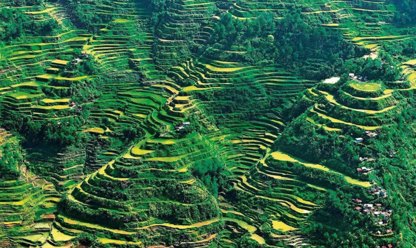 Banaue Banaue