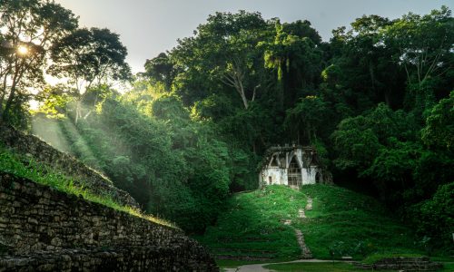 Palenque Palenque